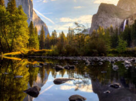 Parque Nacional de Yosemite : una experiencia inolvidable