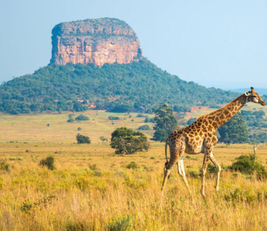 Senderismo en Sudáfrica en el Cabo Oriental