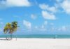 Los mejores lugares y playas para visitar en Miami