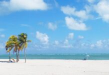 Los mejores lugares y playas para visitar en Miami