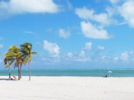Los mejores lugares y playas para visitar en Miami