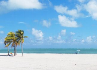 Los mejores lugares y playas para visitar en Miami